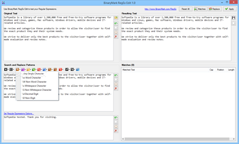 BinaryMark RegEx Edit screenshot 4