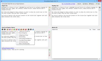 BinaryMark RegEx Edit screenshot 8