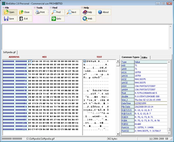 BinEditor screenshot