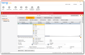 Bing Ads Editor screenshot 2