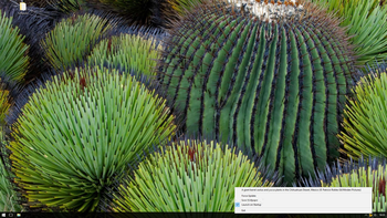 Bing Wallpaper screenshot