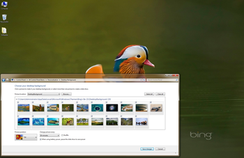 Bing's Best 3 Windows 7 Theme screenshot
