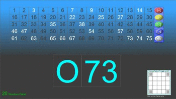 Bingo Caller Pro screenshot