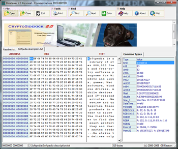 BinViewer screenshot