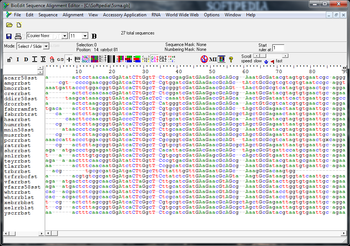 BioEdit screenshot