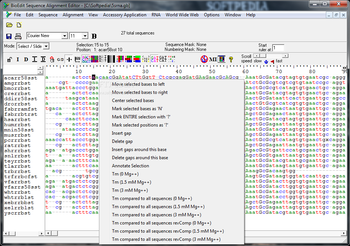 BioEdit screenshot 2