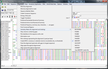 BioEdit screenshot 4