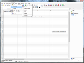 BioStat Professional 2009 screenshot 4