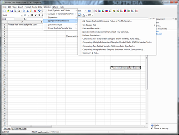 BioStat Professional 2009 screenshot 7