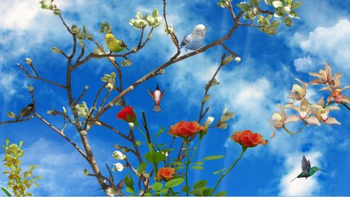 Birds of Nature 3D screenshot 3