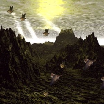 Birds Screen Saver screenshot