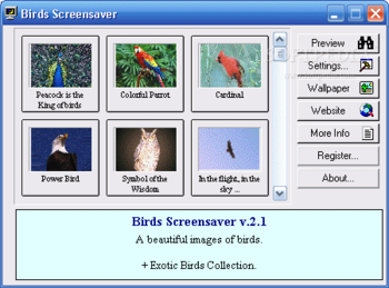 Birds Screensaver screenshot 2