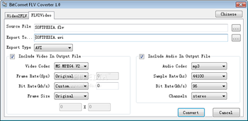 BitComet FLV Converter screenshot 2