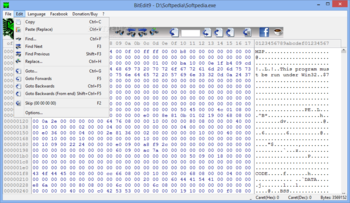 BitEdit9 Portable screenshot 2