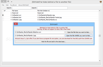 BitHide9 screenshot 3