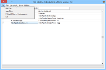 BitHide9 screenshot 4