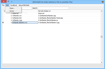 BitHide9 screenshot 5