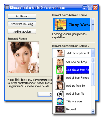 BitmapCombo ActiveX Control screenshot