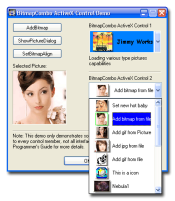 BitmapCombo ActiveX Control screenshot 2