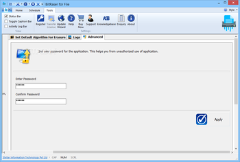 BitRaser for File screenshot 13