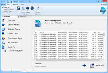 BitRaser for File screenshot 8