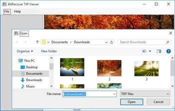 BitRecover TIFF Viewer screenshot