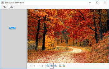 BitRecover TIFF Viewer screenshot 2