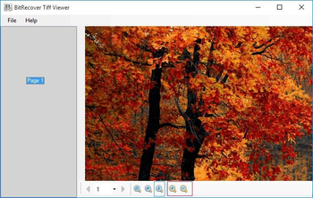 BitRecover TIFF Viewer screenshot 3
