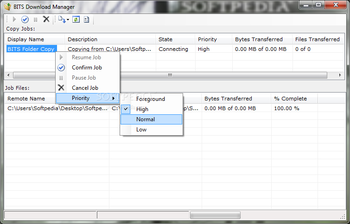 BITS Download Manager screenshot
