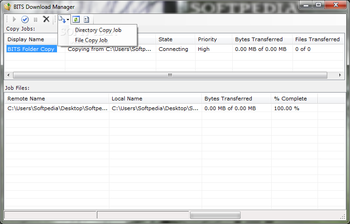 BITS Download Manager screenshot 4