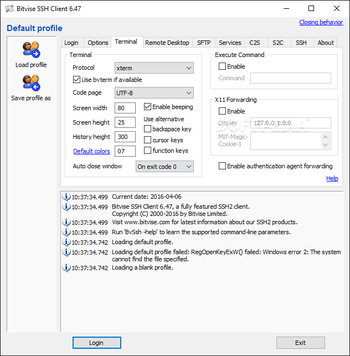 Bitvise SSH Client screenshot 3