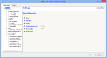 Bitvise SSH Server screenshot 2