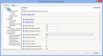 Bitvise SSH Server screenshot 3