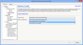 Bitvise SSH Server screenshot 4