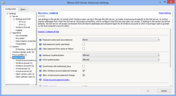 Bitvise SSH Server screenshot 9