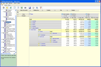 BIView screenshot