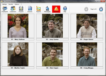 Biz Timesheet Manager screenshot