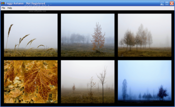 Bizimg Foggy Autumn screenshot