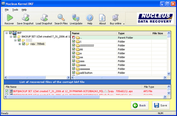 BKF Recovery - Corrupt BKF File Repair screenshot