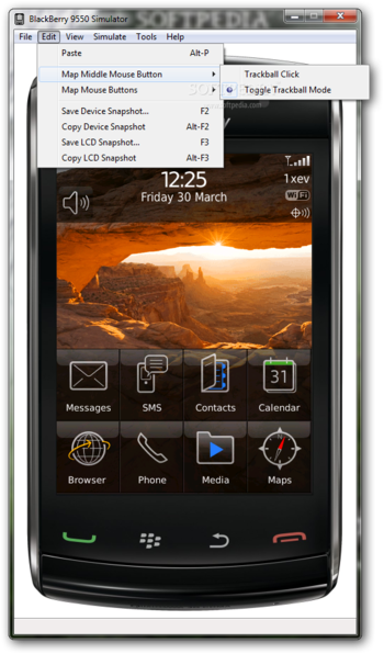 BlackBerry 9550 Simulator screenshot 4