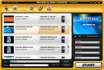 BlackBerry Video Converter screenshot