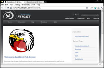 BlackHawk Web Browser screenshot