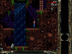 Blackthorne screenshot 2