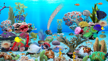 Blue Ocean Aquarium Wallpaper screenshot