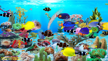 Blue Ocean Aquarium Wallpaper screenshot 2