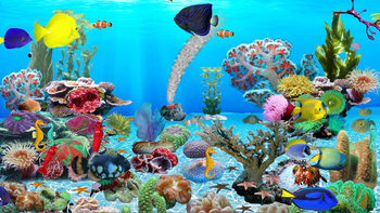 Blue Ocean Aquarium Wallpaper screenshot 3