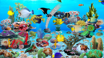 Blue Ocean Aquarium Wallpaper screenshot 4