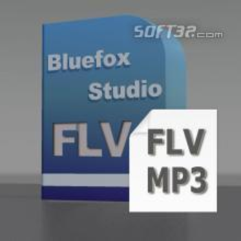 Bluefox FLV to MP3 Converter screenshot 2