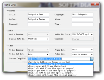 Bluefox FLV to MP4 Converter screenshot 2