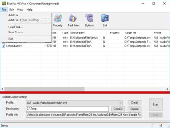 Bluefox MKV to X Converter screenshot 2
